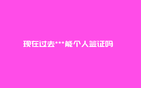 现在过去***能个人签证吗 2023年个人可以去***旅游吗？