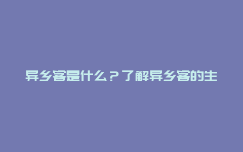 异乡客是什么？了解异乡客的生活和文化