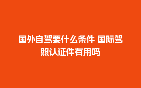 国外自驾要什么条件 国际驾照认证件有用吗