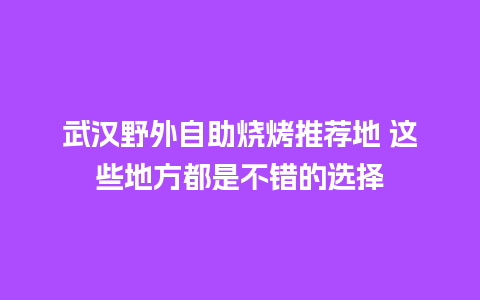 武汉野外自助烧烤推荐地 这些地方都是不错的选择