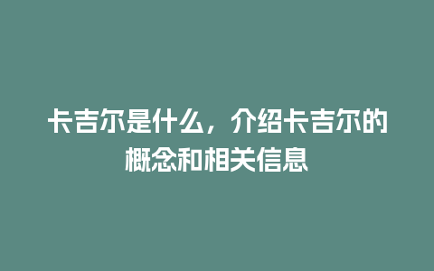 卡吉尔是什么，介绍卡吉尔的概念和相关信息