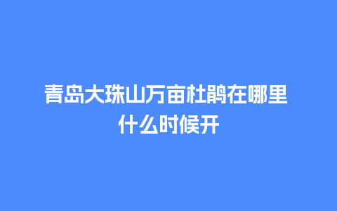 青岛大珠山万亩杜鹃在哪里 什么时候开