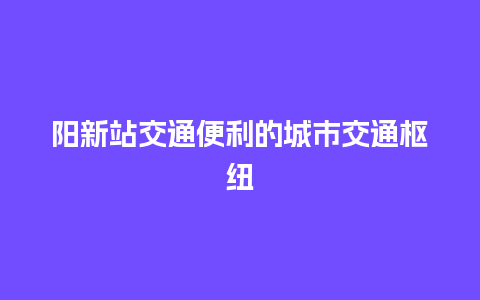 阳新站交通便利的城市交通枢纽