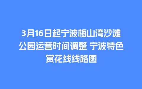 3月16日起宁波梅山湾沙滩公园运营时间调整 宁波特色赏花线线路图