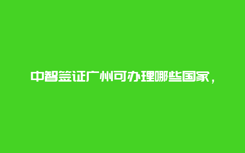 中智签证广州可办理哪些国家，中智咨询是什么公司？