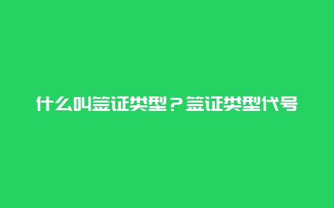 什么叫签证类型？签证类型代号？