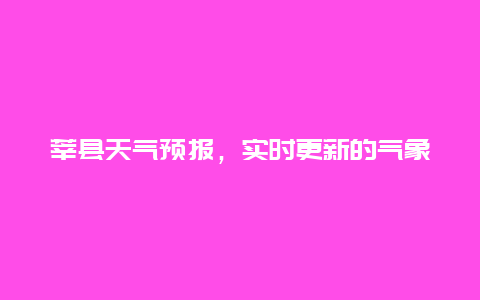 莘县天气预报，实时更新的气象信息