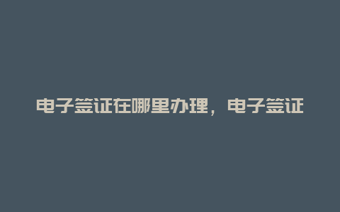 电子签证在哪里办理，电子签证在哪里办理的