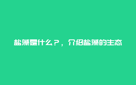 盐藻是什么？，介绍盐藻的生态和应用