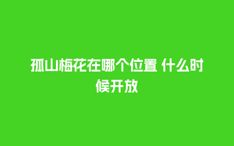 孤山梅花在哪个位置 什么时候开放