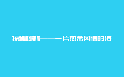 探秘椰林——一片热带风情的海滨景观