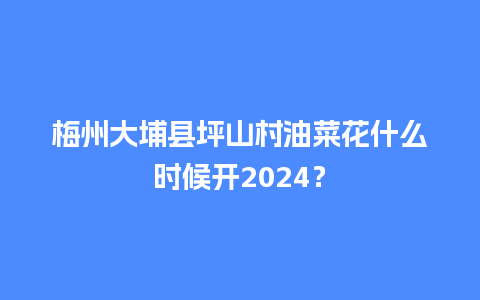 梅州大埔县坪山村油菜花什么时候开2024？