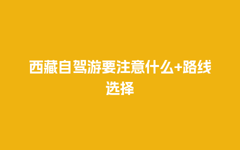 西藏自驾游要注意什么+路线选择