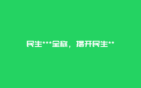 民生***全称，揭开民生***的神秘面纱