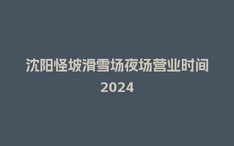 沈阳怪坡滑雪场夜场营业时间2024