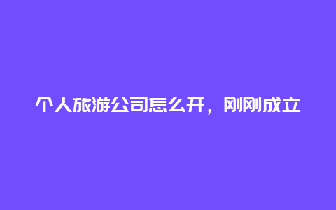 个人旅游公司怎么开，刚刚成立了一个小公司，只有五六个人，从管理学上来说，怎么来管理这个小公司？