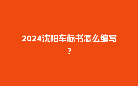 2024沈阳车标书怎么编写？