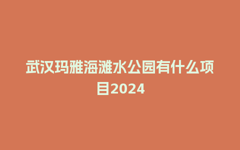 武汉玛雅海滩水公园有什么项目2024