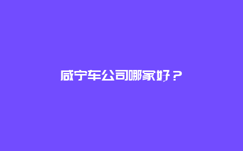 咸宁车公司哪家好？