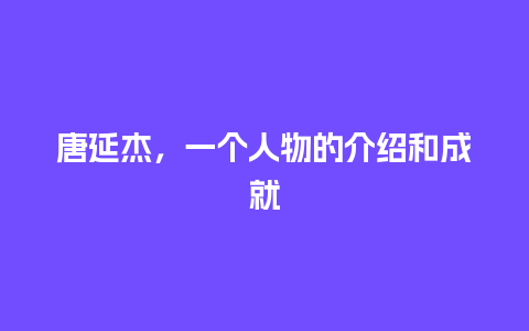 唐延杰，一个人物的介绍和成就