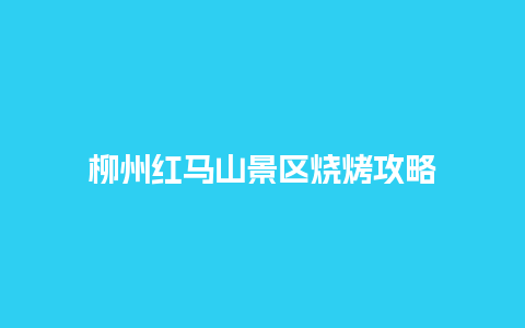 柳州红马山景区烧烤攻略