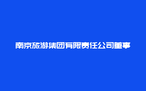 南京旅游集团有限责任公司董事长_金浦集团现任领导班子？