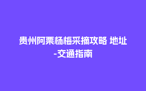 贵州阿栗杨梅采摘攻略 地址-交通指南