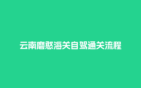 云南磨憨海关自驾通关流程