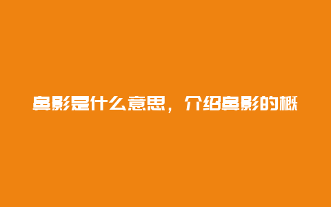 鼻影是什么意思，介绍鼻影的概念和用法