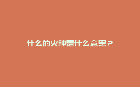 什么的火种是什么意思？