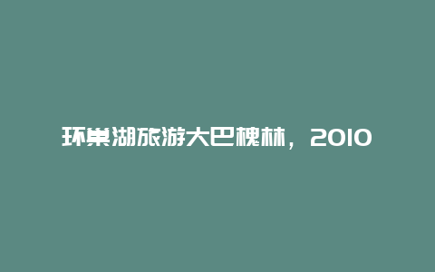 环巢湖旅游大巴槐林，2010巢湖槐林中学的分数线多少啊？