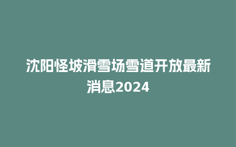 沈阳怪坡滑雪场雪道开放最新消息2024