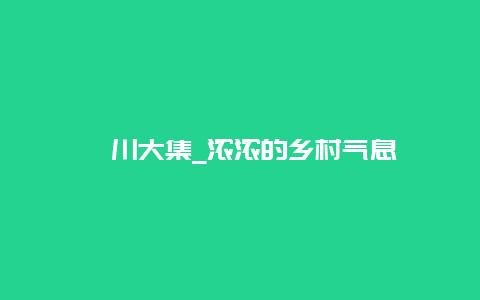 淄川大集_浓浓的乡村气息