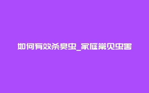 如何有效杀臭虫_家庭常见虫害的防治方法