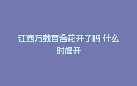 江西万载百合花开了吗 什么时候开