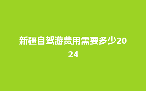 新疆自驾游费用需要多少2024