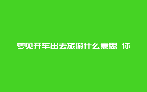 梦见开车出去旅游什么意思 你捡过的最惊喜的漏是什么？