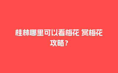 桂林哪里可以看梅花 赏梅花攻略？