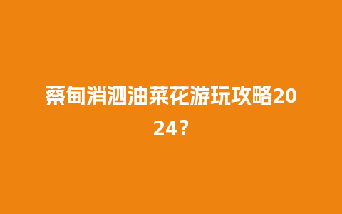 蔡甸消泗油菜花游玩攻略2024？