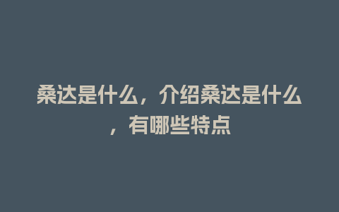 桑达是什么，介绍桑达是什么，有哪些特点