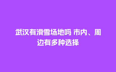 武汉有滑雪场地吗 市内、周边有多种选择