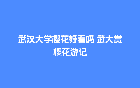 武汉大学樱花好看吗 武大赏樱花游记