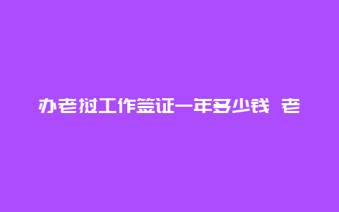 办老挝工作签证一年多少钱 老挝入境费用一览？