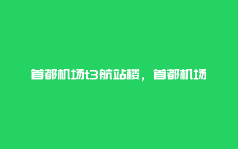 首都机场t3航站楼，首都机场t3航站楼平面图