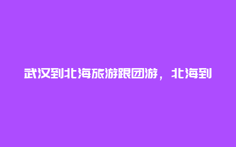 武汉到北海旅游跟团游，北海到武汉高铁经过哪些站点？