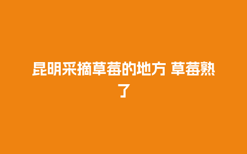 昆明采摘草莓的地方 草莓熟了