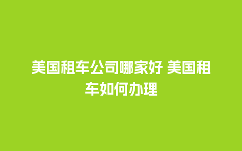 美国租车公司哪家好 美国租车如何办理