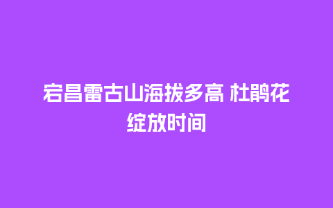 宕昌雷古山海拔多高 杜鹃花绽放时间