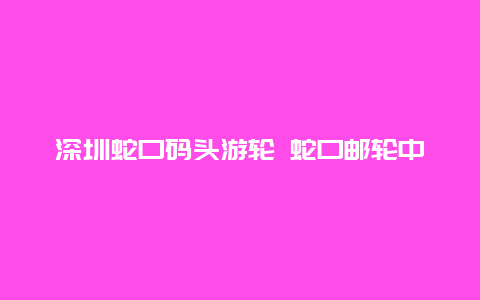 深圳蛇口码头游轮 蛇口邮轮中心怎么检票进站？