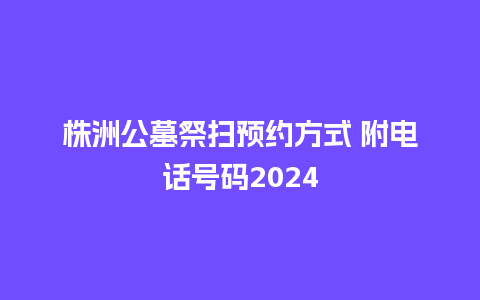 株洲公墓祭扫预约方式 附电话号码2024